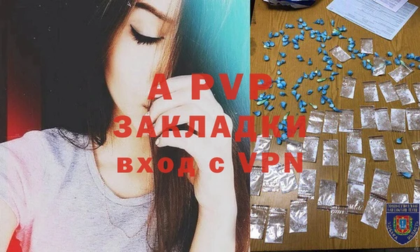 ешки Козельск