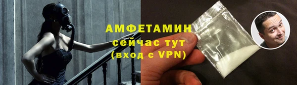 дживик Няндома
