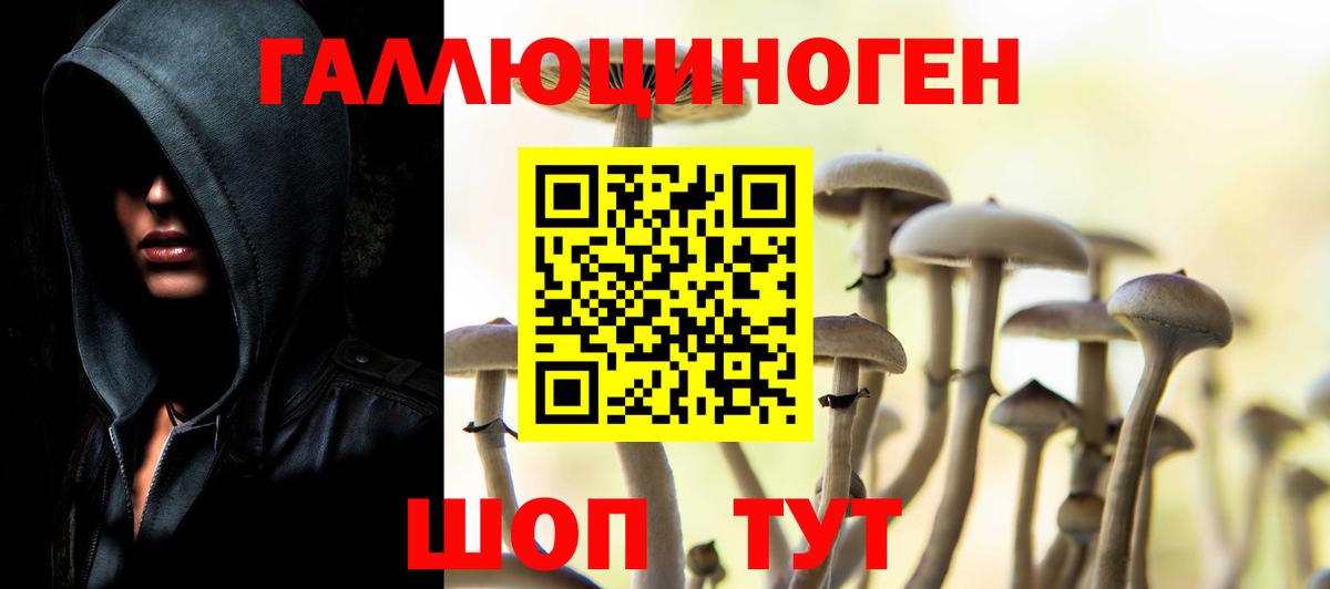 Клинцы  Галлюциногенные грибы Psilocybine cubensis  Галлюциногенные грибы мицелий  Вход с VPN 